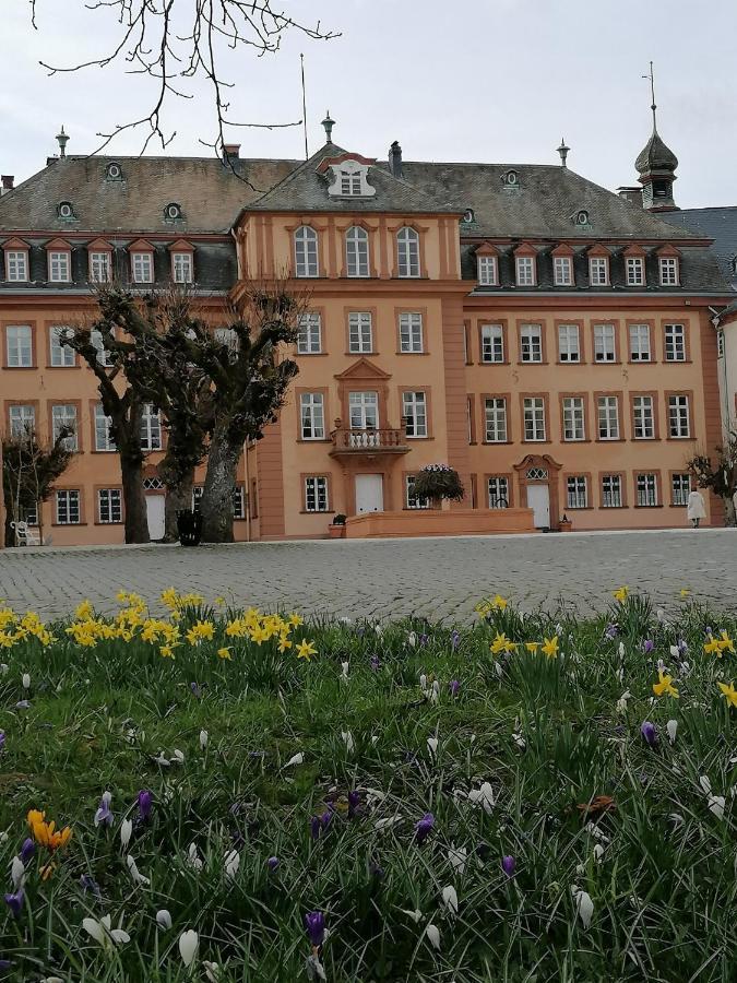 Ferienwohnung Am Schlosspark Bad Berleburg Buitenkant foto